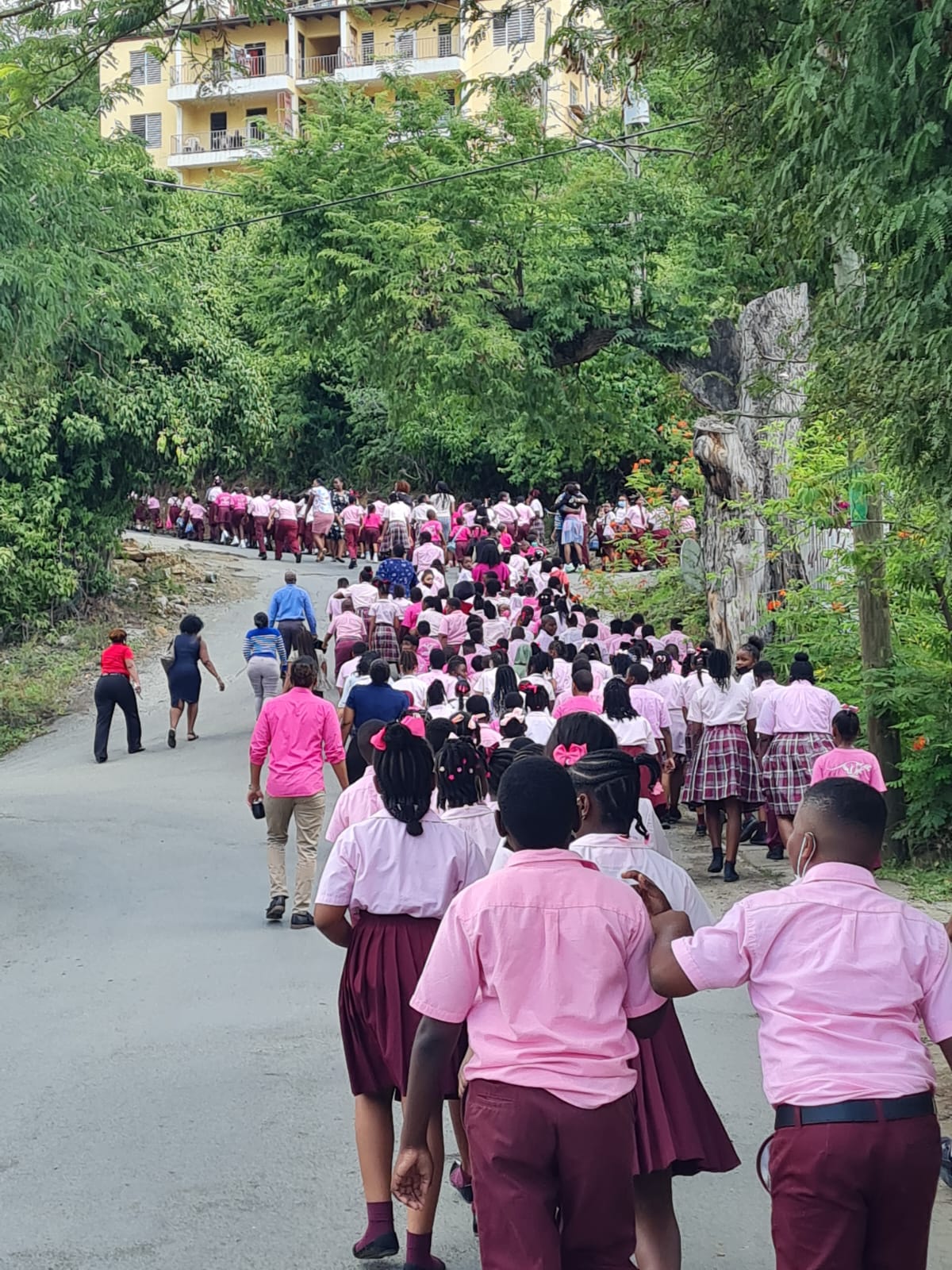 Althea Scatliffe Primary School 2