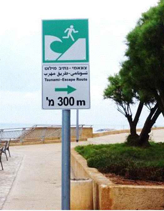 Tsunami Sign